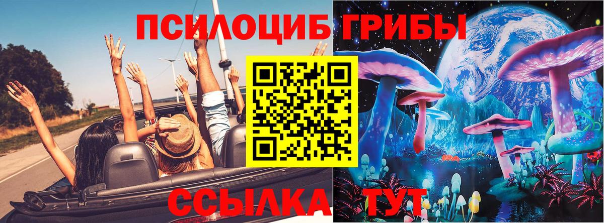 Галлюциногенные грибы Psilocybe Рязань