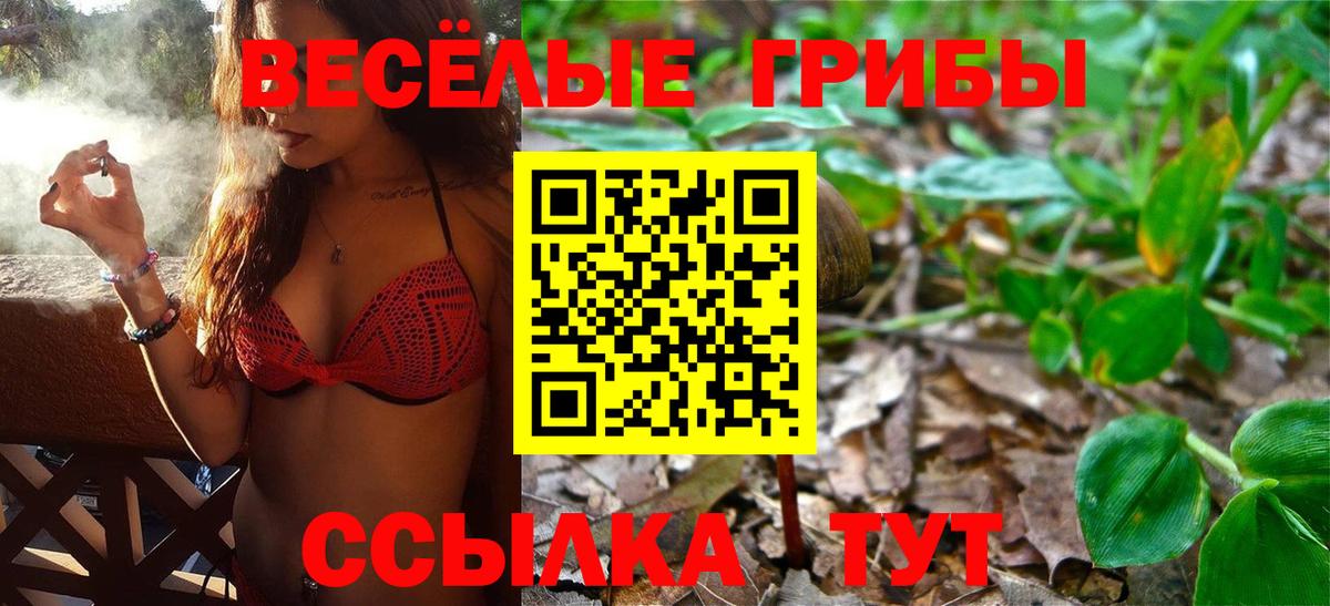 Рязань  купить  сайты  Вход с VPN  Галлюциногенные грибы Psilocybe 