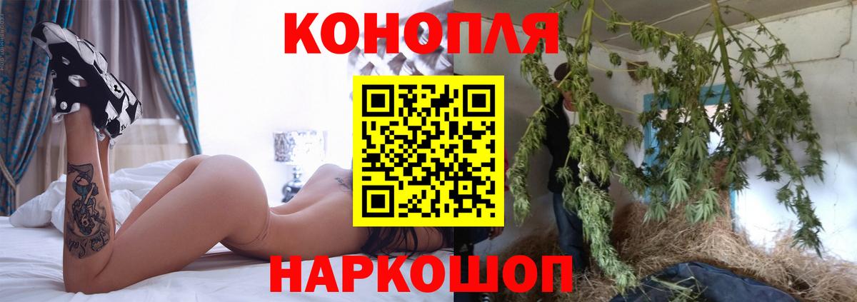 Бошки Шишки конопля Рязань